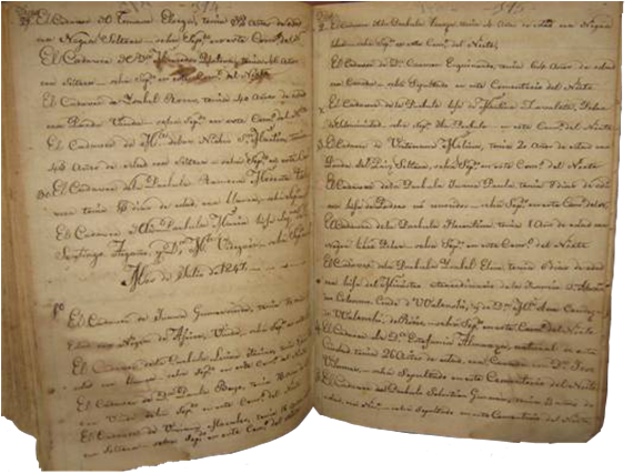 La nieta polaca de Napoleón