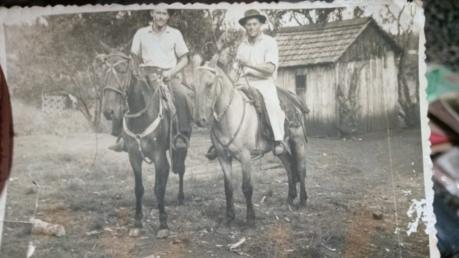 100 años – 100 historias  -  Łapiński