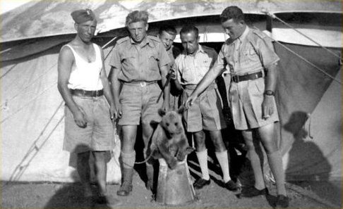 Wojtek, el oso soldado